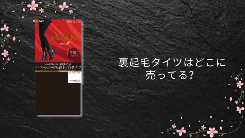 裏起毛タイツ